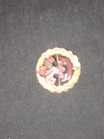 Distict Executive Collar Brass Pin