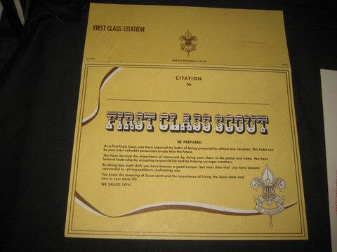 First Class Scout Citation, 1969