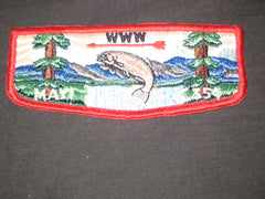 Mayi 354 - the carolina trader