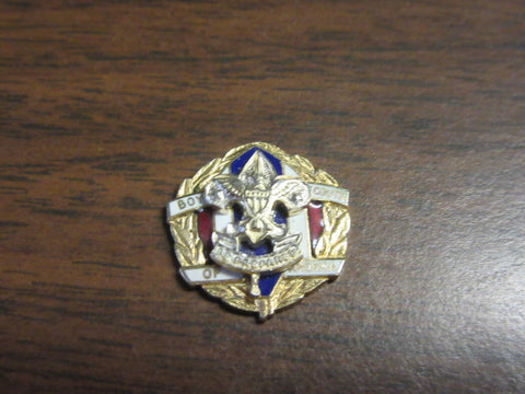 Chief Scout Executive Emblem