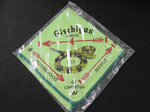 Gischigan 223 n1 error Neckerchief