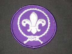 boy scout insignia - the carolina trader