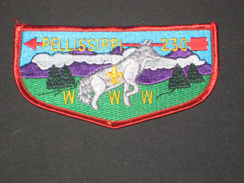 Pellissippi 230 s25b Flap