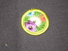 machinery merit badge - the carolina trader