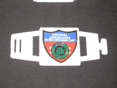 Schiff Scout Reservation National Jr Leader Instructor Training Camp Plastic Slide