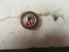 Region 6 Lapel Pin