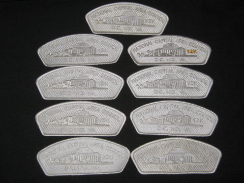 National Capital Area Council 13 different Y2K CSPs