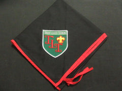 boy scout neckerchiefs - the carolina trader