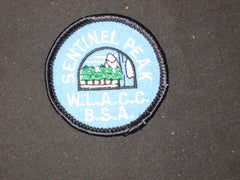 Boy Scout camp patches - the carolina trader