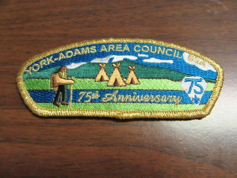York-Adams Area Council sa16 SAP
