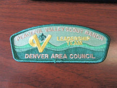 Denver Area Council sa-8 SAP