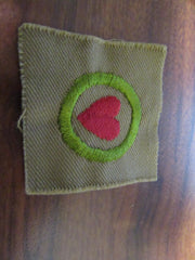 Boy Scout Merit Badges - the carolina trader