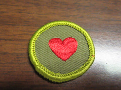boy scout merit badges - the carolina trader
