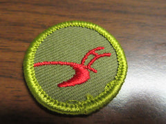 boy scout merit badges - the carolina trader