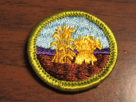Small Grains Solid Cloth Back Merit Badge