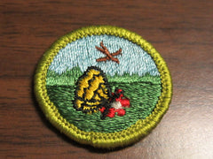 boy scout merit badges - the carolina trader