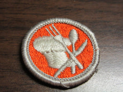 boy scout merit badges - the carolina trader
