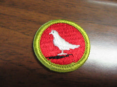 boy scout merit badges - the carolina trader