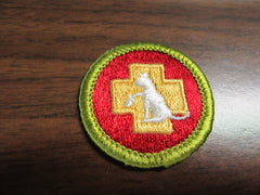 boy scout merit badges - the carolina trader