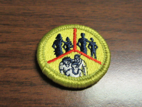 Family Life Clear Plastic Solid Merit Badge