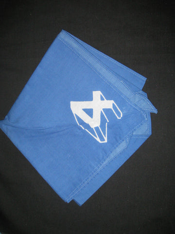 Region 4 blue numeral design Neckerchief
