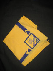 Cub Scouts BSA older Neckerchief - the carolina trader