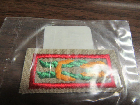 James E. West Fellowship Knot, Plastic Gauze Back