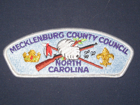 Mecklenburg County Council s4 CSP