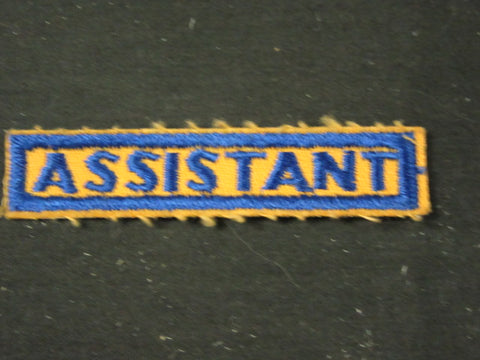 Assistant Cub Scout Leader 1950-60's Patch