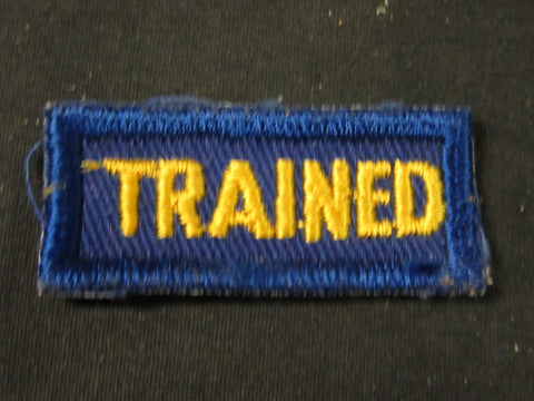 Cub Scout Leader 1950-60's Trained Strip