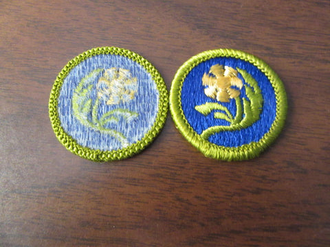 Botany Blue Waffle Plastic Back Merit Badge