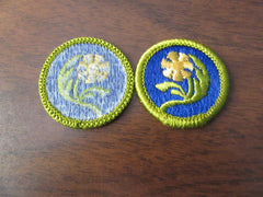 boy scout merit badges - the carolina trader