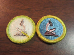 boy scout merit badges - the carolina trader