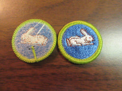 Rabbit Raising Dark Green Molded Plastic Back Merit Badge