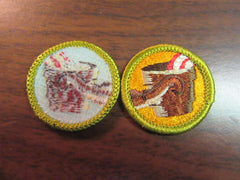boy scout merit badges - the carolina trader