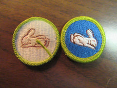 boy scout merit badges - the carolina trader