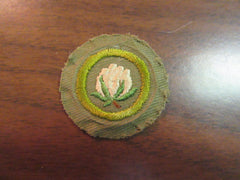 boy scout merit badges - the carolina trader