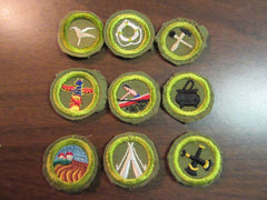 boy scout merit badges - the carolina trader