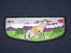 Pellissippi 230 s16a-The Carolina Trader