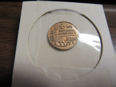 1969 National Jamboree Lapel Pin