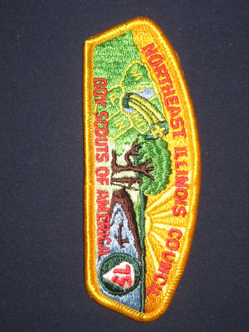 Northeast Illinois Council S4 CSP