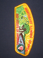 Northeast Illinois Council S4 CSP-the carolina trader