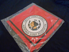 Chester County Council - the Carolina trader
